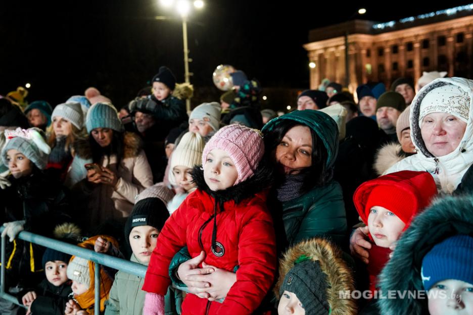 Главная елка Могилевской области засияла праздничными огнями. Фото