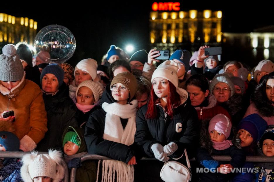 Главная елка Могилевской области засияла праздничными огнями. Фото