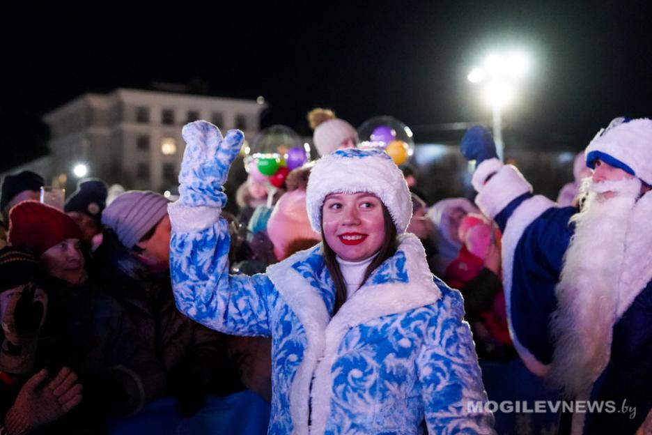 Главная елка Могилевской области засияла праздничными огнями. Фото