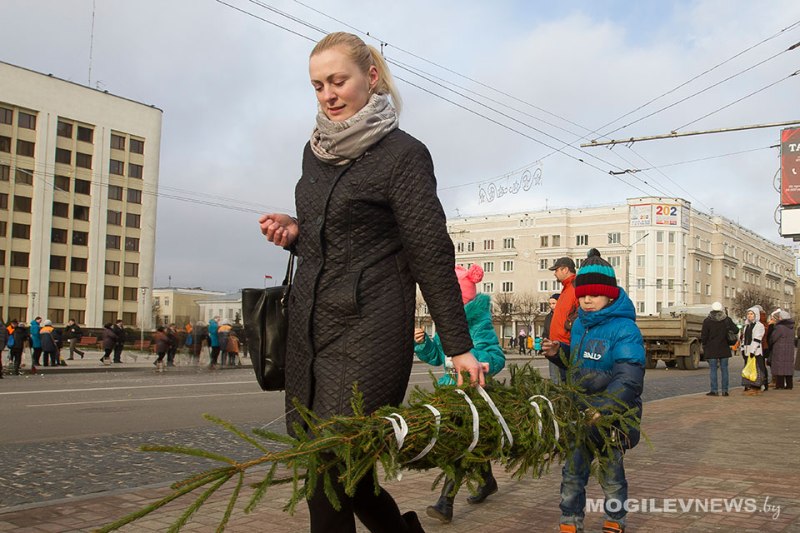 Осадки и минусовые температуры сохраняться до конца рабочей недели в Могилевской области