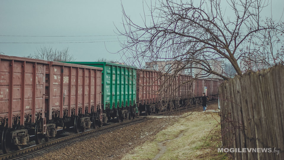 Центр экспорта планируют создать в Могилевской области в 2018 году