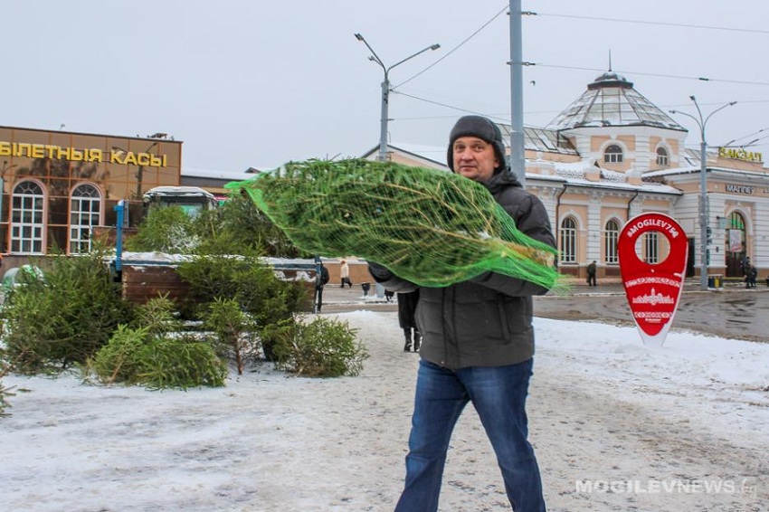 До +8 С ожидается к пятнице в Могилеве