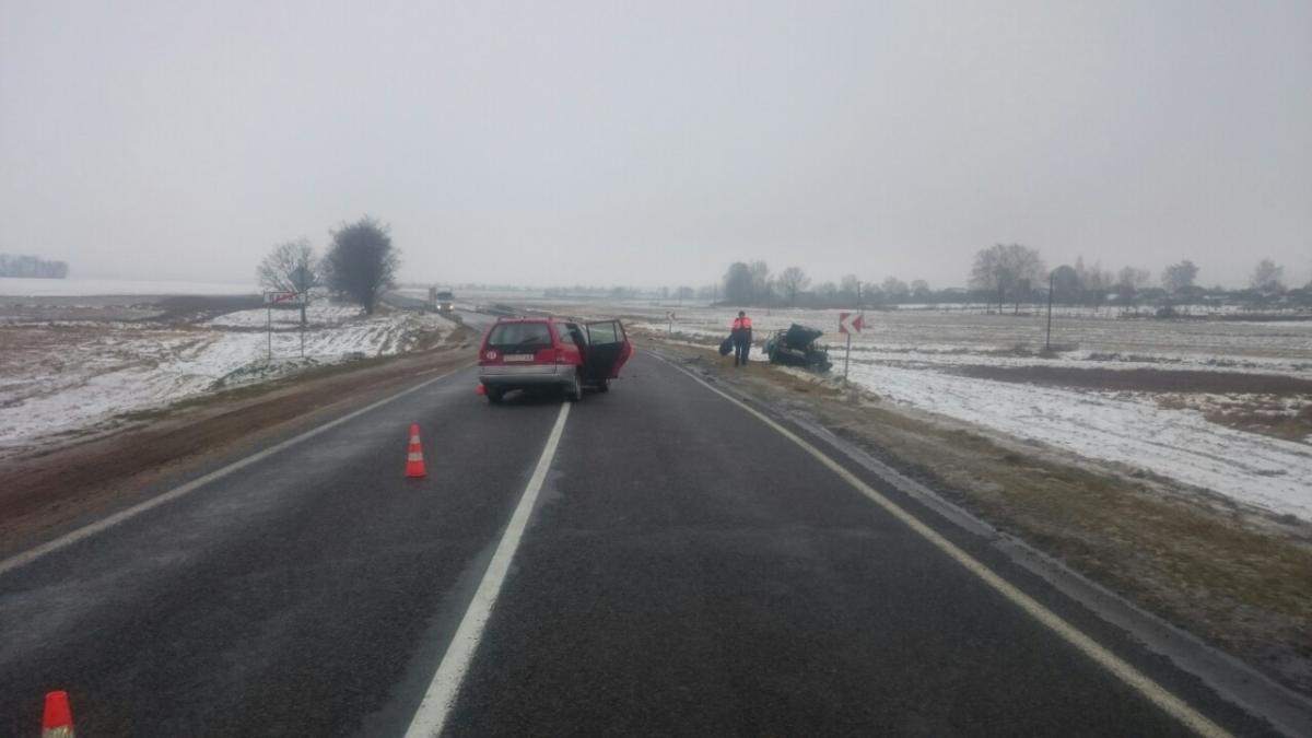В ДТП в Бобруйском районе погиб водитель