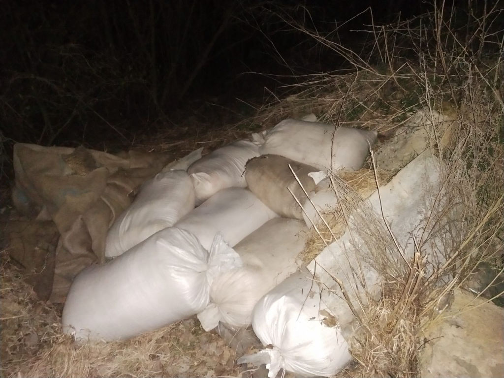 Заведующий фермой в Белыничском районе похитил 600 кг калийных удобрений