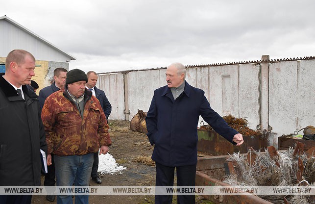 Лукашенко поручил снять с должностей всех виновных в ненадлежащих условиях хозяйствования в агрохолдинге "Купаловское"