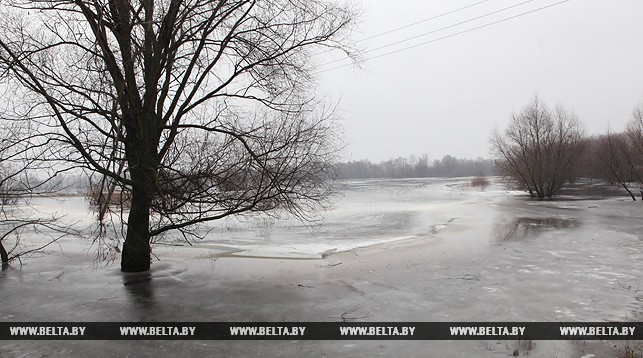 МЧС приняло меры по минимизации последствий половодья в Беларуси