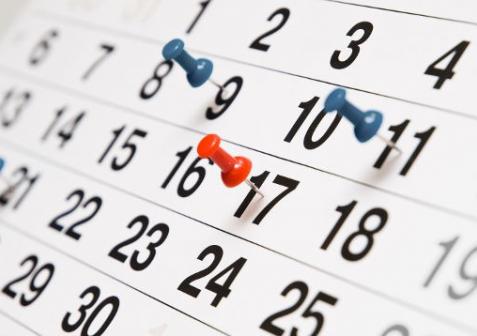 В Могилеве установлен график приема для предоставления документов, подтверждающих занятость в экономике