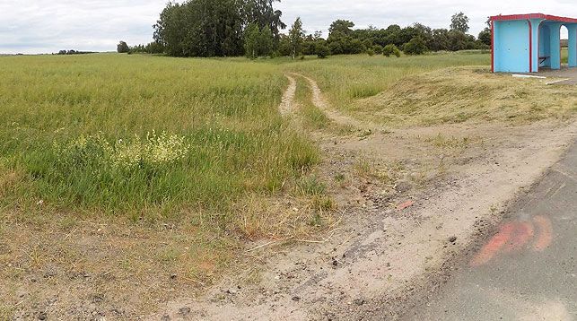 Задержан подозреваемый в убийстве девушки в Кировском районе