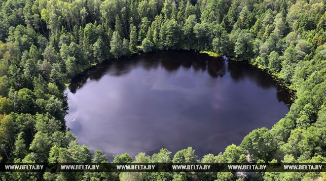 Ученые разработали виртуальный тур по заповедным территориям Беларуси
