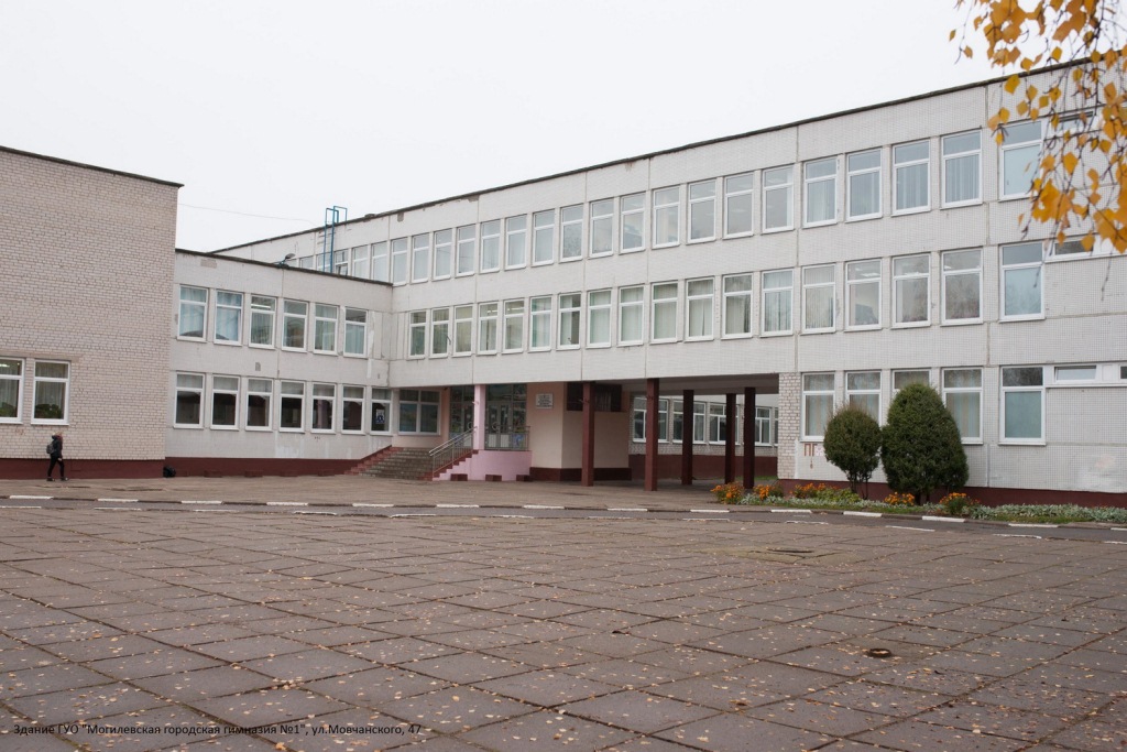Специализированную спортивно-игровую интегрированную площадку установят на территории гимназии №1 Могилева