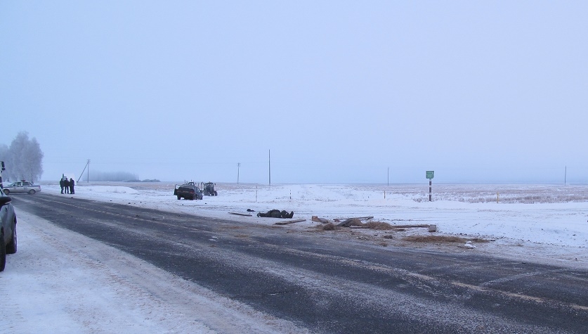 В ДТП в Краснопольском районе погиб 56-летний мужчина