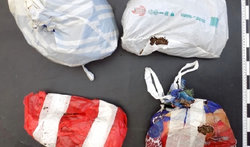 В незаконном обороте наркотических средств обвиняется житель Славгородского района