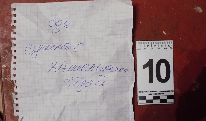 Двое мужчин в Быховском районе убили 89-летнюю женщину