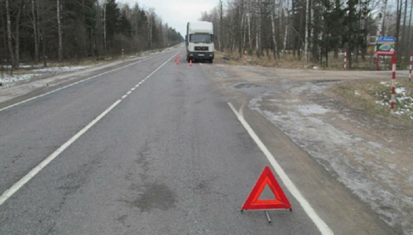 Очевидцев ДТП в Бобруйском районе, в котором погиб велосипедист, устанавливают следователи