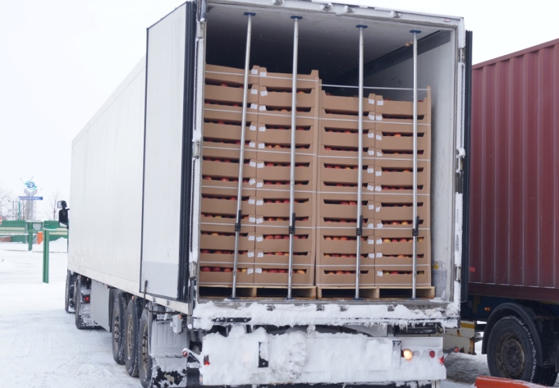 Партию яблок на сумму более 60 тысяч рублей изъяли могилевские таможенники