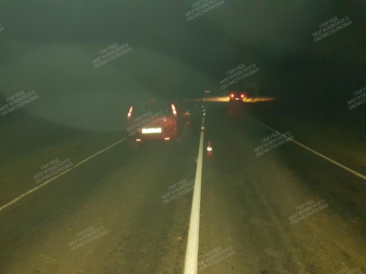 «Форд» в Могилевском районе сбил женщину – она шла по центру дороги