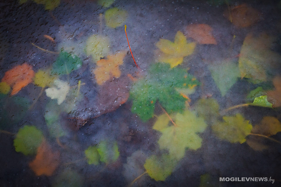Значительное понижение ночной температуры ожидается в начале следующей недели в Могилевской области