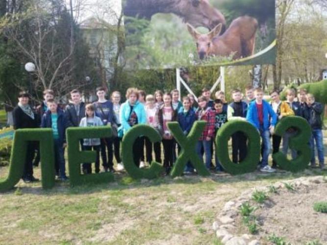 Интерактивной доской поощрят хотимскую СШ №1 за победу в конкурсе в рамках «Недели леса»