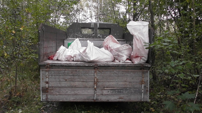 Бобруйских предпринимателей подозревают в сбыте незаконно добытой дичи