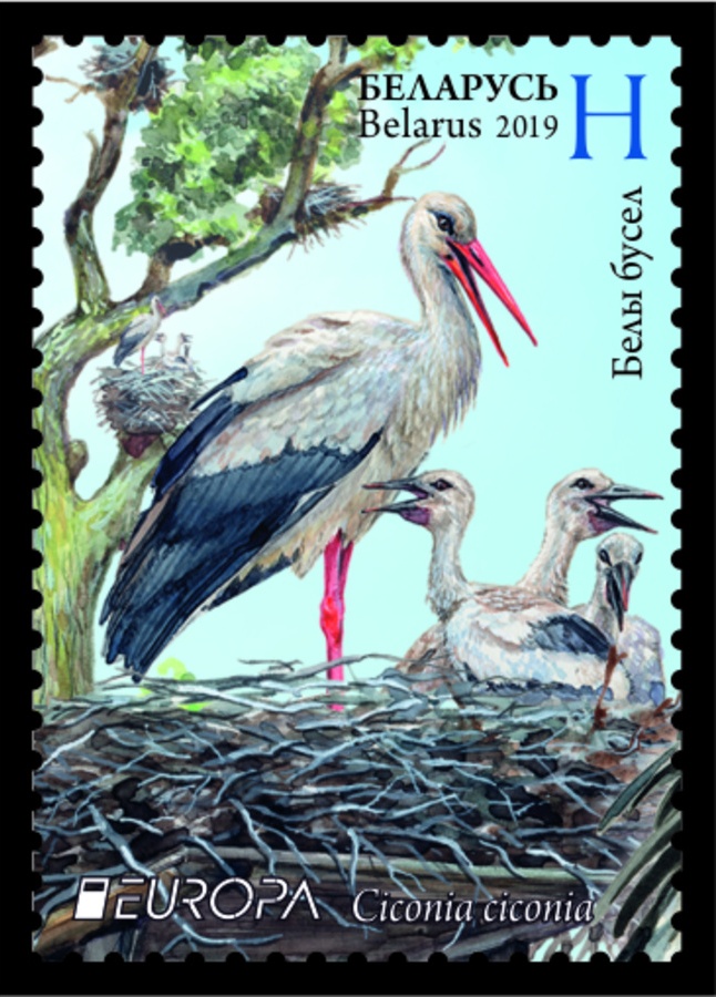 Белорусская марка претендует на звание лучшей в Европе. Фото