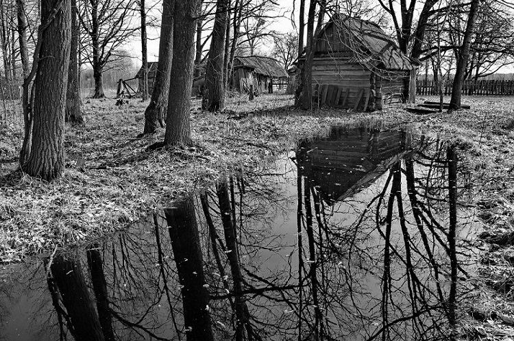 Фотовыставка мозырского фотографа Владимира Воробья откроется 17 августа в Бобруйске