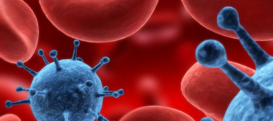 Житель Могилевского района подозревается в заражении жены ВИЧ-инфекцией