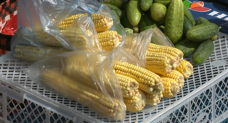 Санитарные службы предупреждают об опасности отравления «уличной кукурузой». Видео