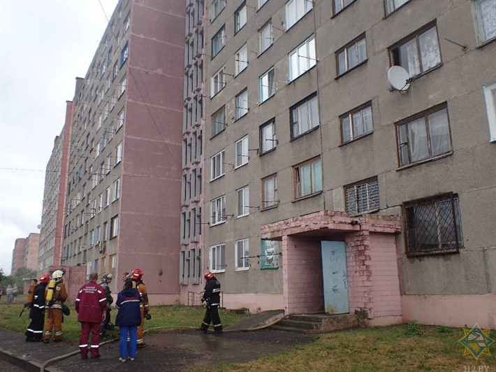 Собака спасла девочку во время пожара в общежитии Бобруйска