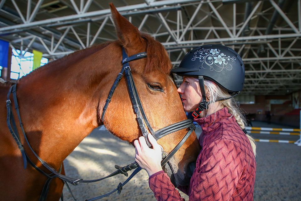 Все мы немножко лошади…