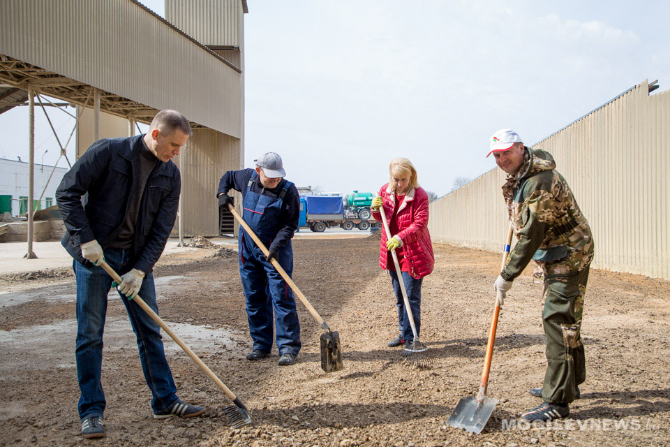 Депутаты облсовета, работники облисполкома и его структурных подразделений приняли участие в субботнике в Шкловском районе. Фото