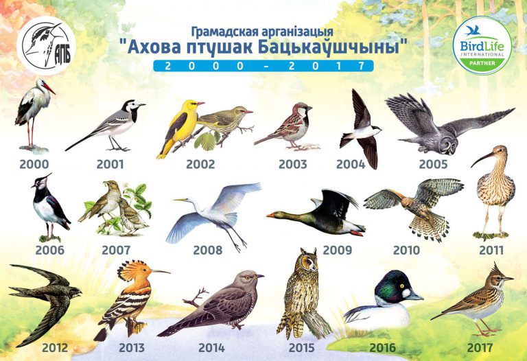 Жителей Могилевщины приглашают принять участие в выборе «Птицы года»