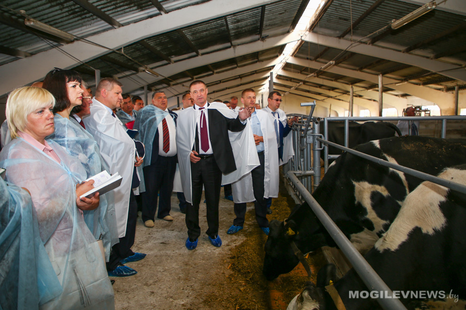 Выездное заседание облисполкома состоялось в Могилевском районе. Фото