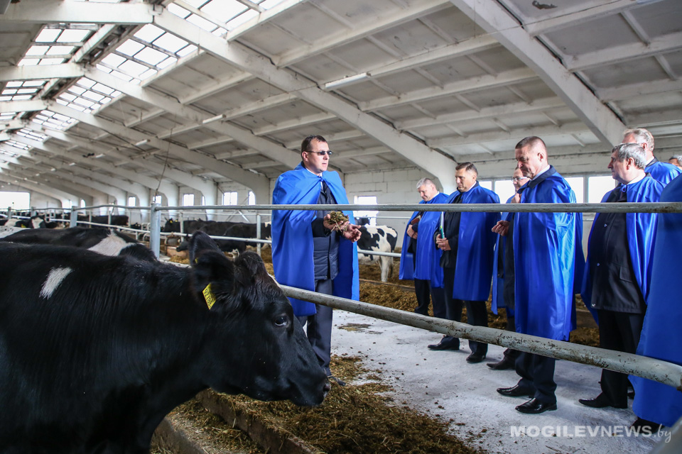 Леонид Заяц посетил молочно-товарный комплекс Круглянского района. Фото