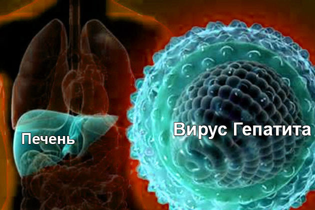 Учитывать ситуацию по заболеваемости вирусным гепатитом А при планировании поездок рекомендует санэпидслужба Могилевской области
