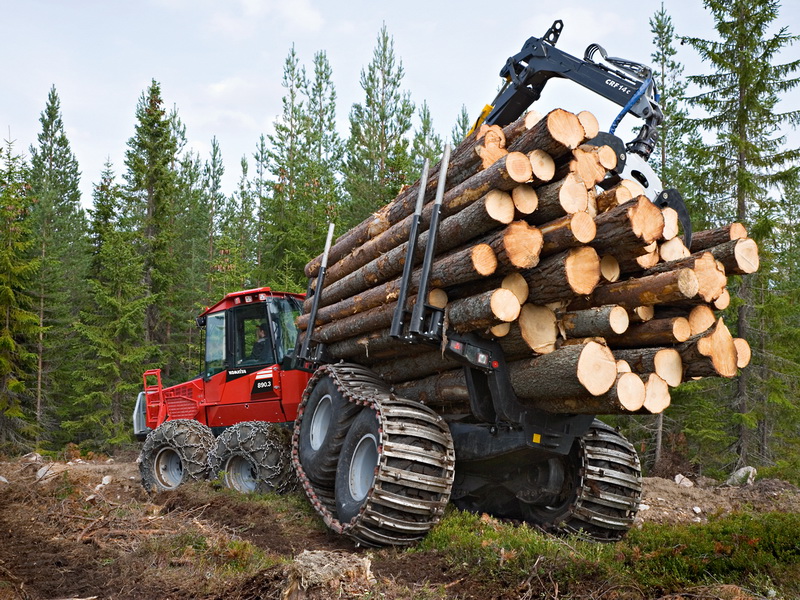 Семирнар по вопросу лесозаготовок провели КГК Могилевской области и облинспекция охраны животного и растительного мира