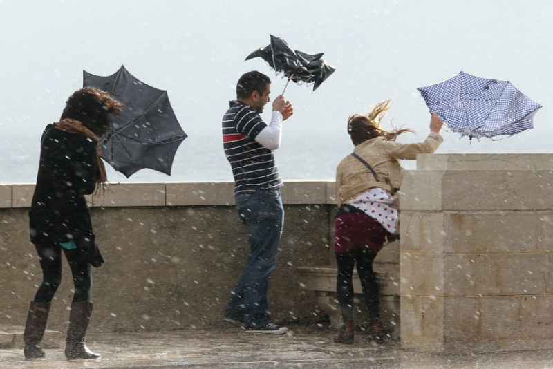Оранжевый уровень опасности в связи с сильным ветром и грозами объявлен в Могилевской области на 5 июня