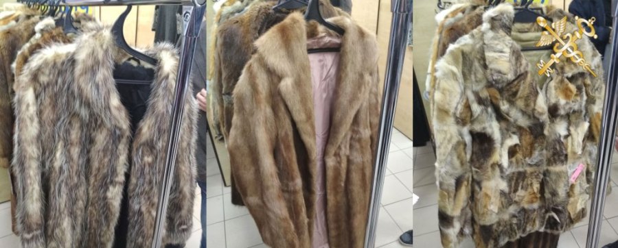 Меховые и кожаные изделия на сумму Br23 тысячи собирались незаконно реализовать в двух торговых точках Могилева