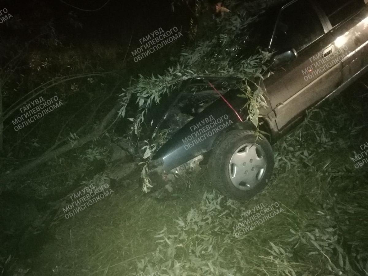 «Ситроен» в Костюковичском районе врезался в дерево, водитель и пассажиры в больнице