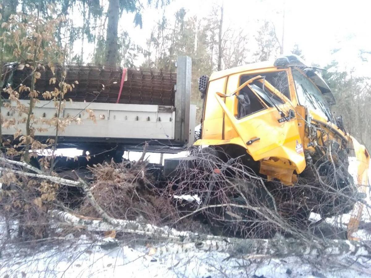 В Бобруйском районе КамАЗ врезался в дерево