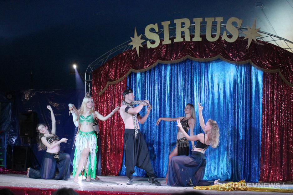 Стационарную площадку для передвижного цирка планируют создать в Могилеве