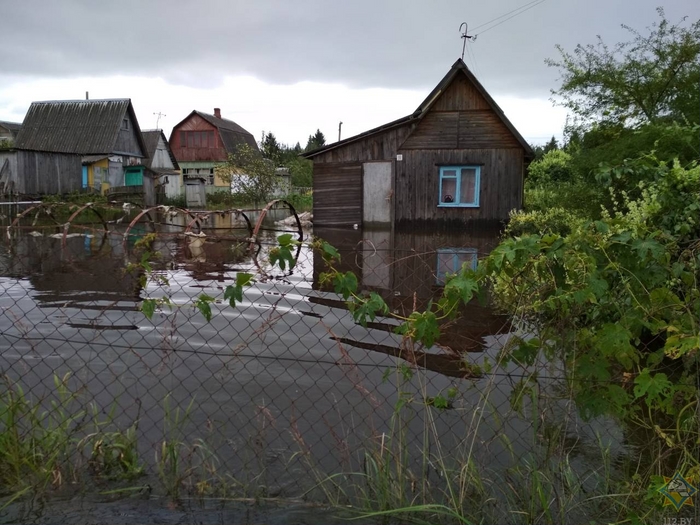 Дачный поселок подтоплен в Могилевском районе. Фото