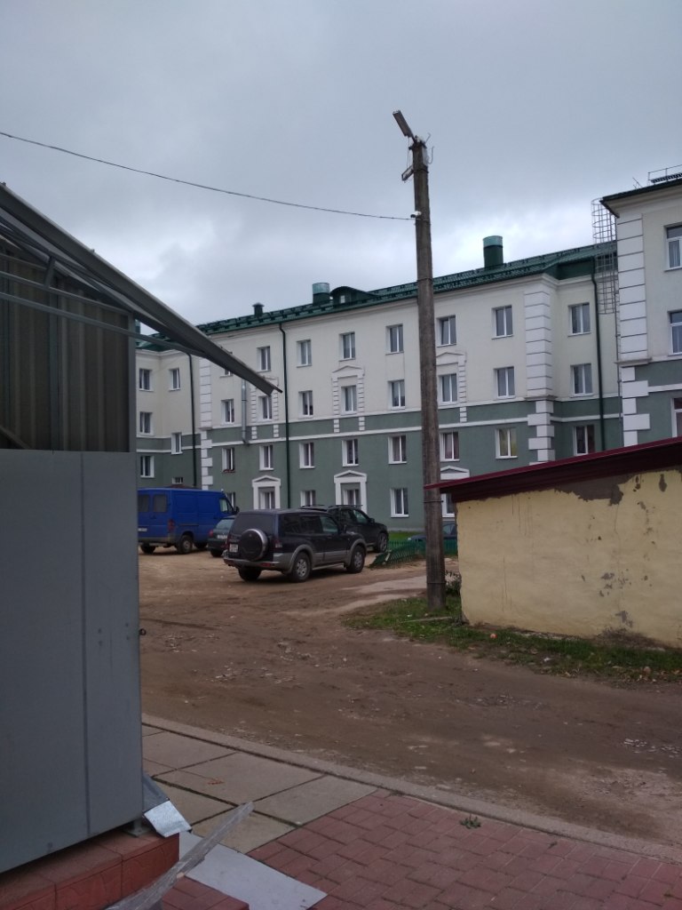 Спасатели в Горках помогли мужчине, висящему на столбе вниз головой