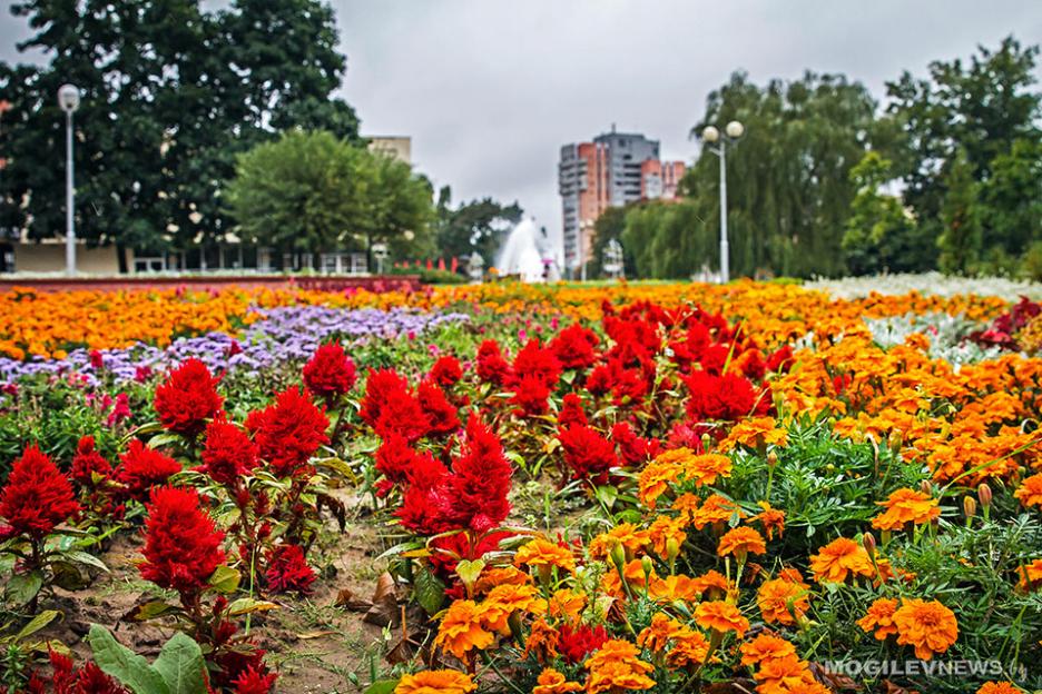Погода на неделю: тотальное «бабье лето»