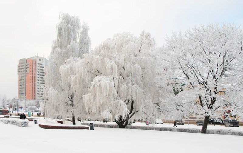 До  -19 градусов в ночные часы ожидается в среду в Могилевской области