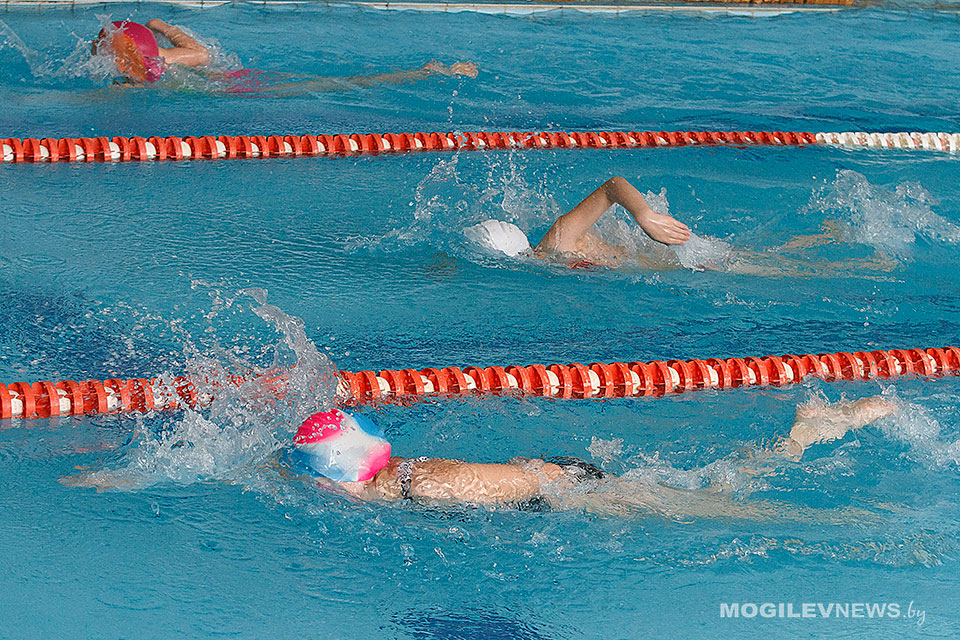О недостаточной загрузке физкультурно-спортивных объектов Могилевской области можно сообщить в КГК