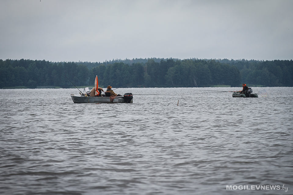 Почти в 45 рублей обошлась каждая рыбка браконьерам из Быхова