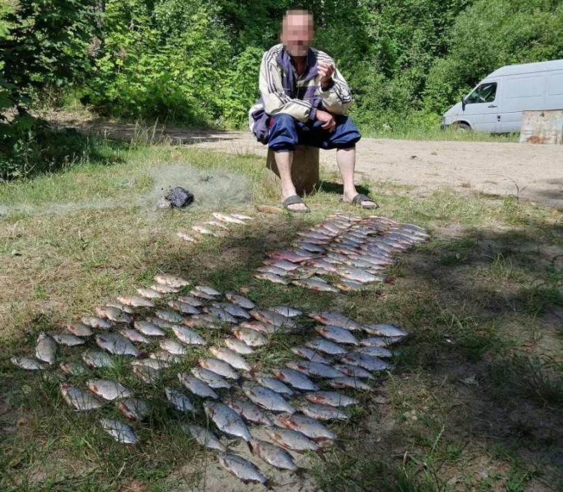 Штраф более 3 тысяч рублей и до 2 лет лишения свободы грозит браконьеру из Осиповичей