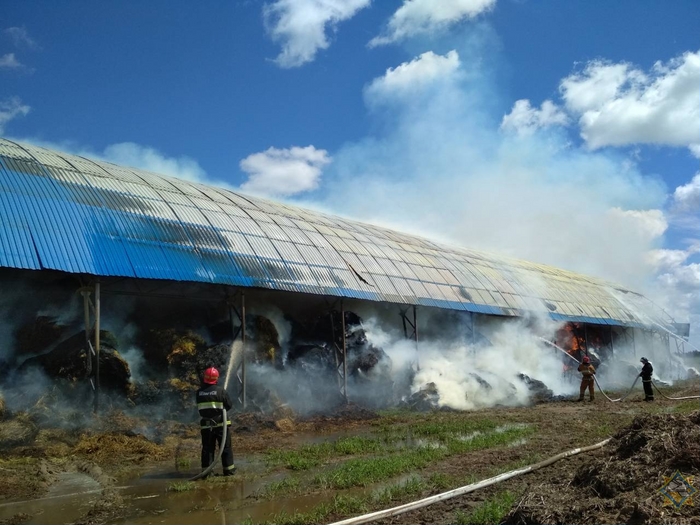 30 тонн сена сгорело в Шкловском районе