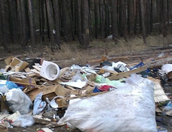 Пять нарушений в лесных массивах Могилевской области зафиксировали фотоловушки в феврале