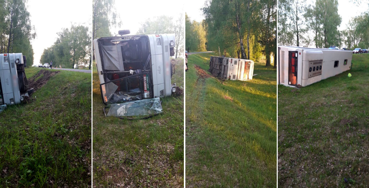 Рейсовый автобус опрокинулся из-за выбежавшей на дорогу косули